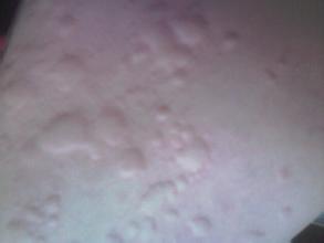 ݡЩ֢״